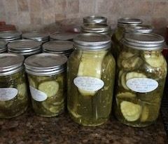 Homemade Dill Pickles (adapted from Bernardin Dill Pickles) | The Balance Factor